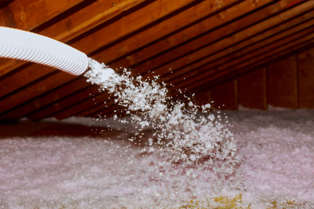 Best Best Insulation Companies  in Folcroft, PA