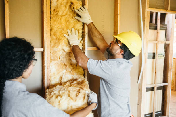Best Crawl Space Insulation  in Folcroft, PA